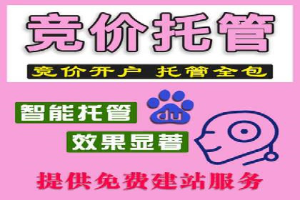 百度竞价广告的成功之路：企业运营案例集